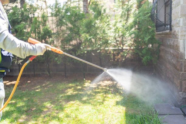 Spider Control Near Me in Lake Pocotopaug, CT