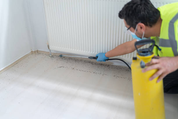 Best Pest Prevention Services  in Lake Pocotopaug, CT